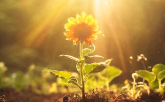 Cultivating Positive Energy