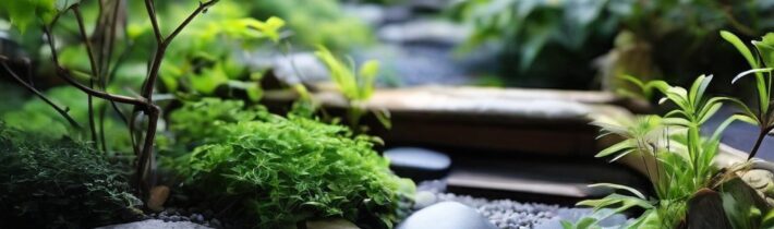 Easy Zen Garden Ideas for a Peaceful Home Oasis