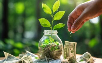 Environmentally Friendly Investments: Making a Difference with Your Money