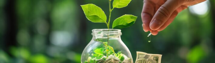 Environmentally Friendly Investments: Making a Difference with Your Money