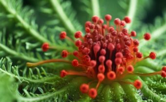 Four Tips for UTI Prevention: Keep Infections at Bay