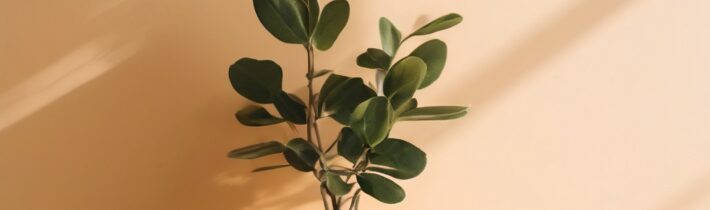 How to Practice Minimalism