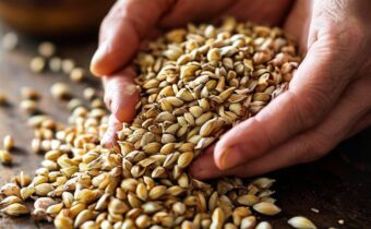 Meet the Better-for-You “Pseudograins” You Should Add to Your Diet