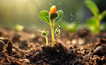 The Quickest Sprouting Flower Seeds for Impatient Gardeners