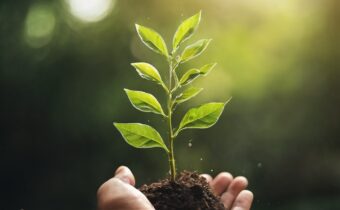 5 Daily Habits for Personal Growth and Self Improvement