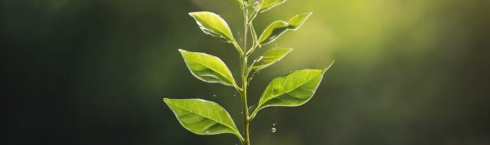 5 Daily Habits for Personal Growth and Self Improvement