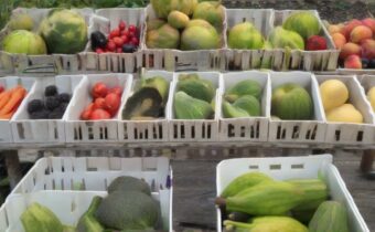 August Produce: Celebrating the Bounty of Late Summer Harvests