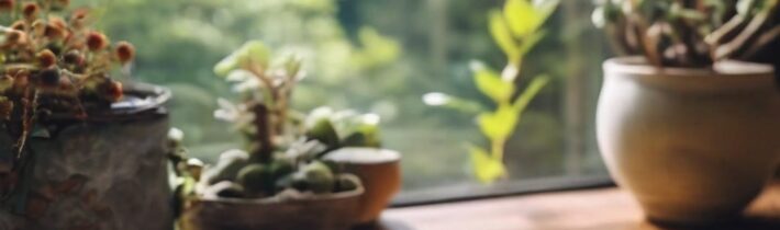 Best Mindfulness Books (2021)