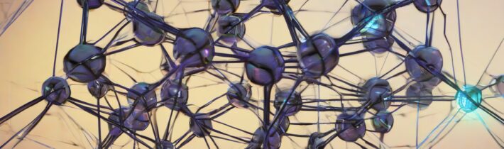 Chapter Network Pre-Launch!