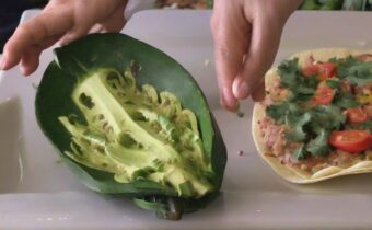 Cooking with Nopales