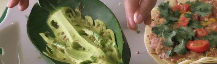 Cooking with Nopales