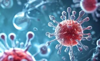 Definition and Essential Functions of Stem Cells