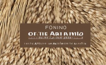 Fonio: The Ancient Grain’s Benefits