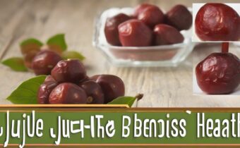 Jujube Fruit: The Superfood with Incredible Health Benefits