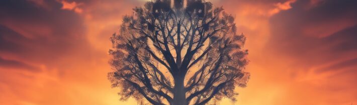 Make Peace with Yourself