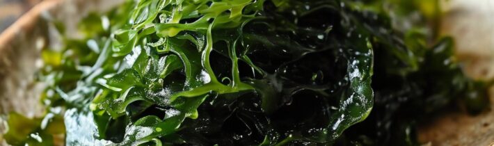 Mozuku Seaweed: The Next Superfood