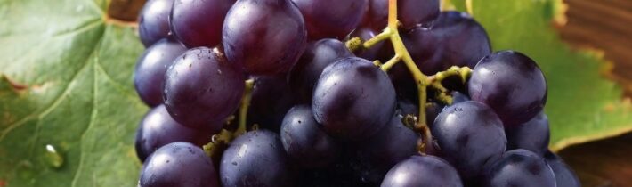 Muscadine Grapes for Longevity