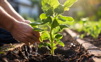 Plant Drainage Solutions