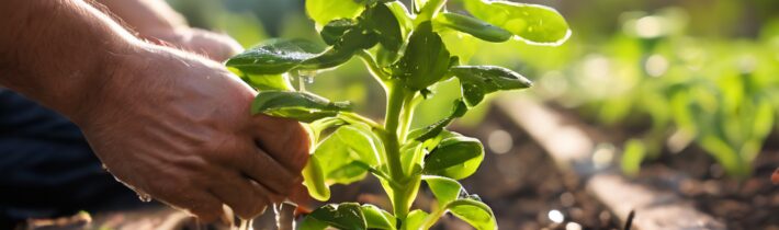 Plant Drainage Solutions