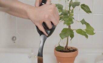Root Touch-Up at Home