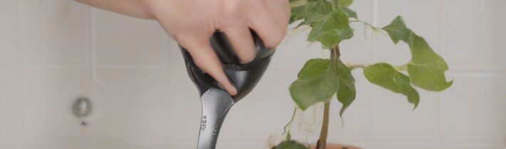 Root Touch-Up at Home