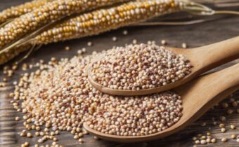 Sorghum: The Gluten-Free Ancient Grain You Need to Try