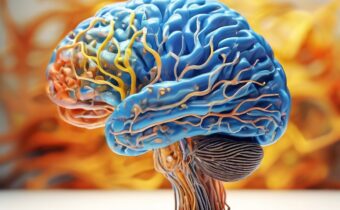 What is Neuroplasticity? Definition + 14 Brain Plasticity Exercises