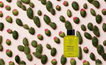 Dae Prickly Pear Hair Oil Review