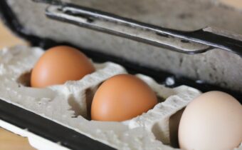 Eggs Aren’t Just for Breakfast