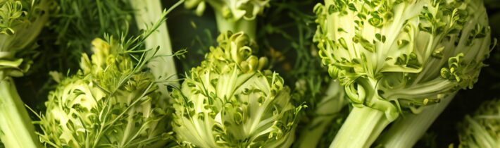 Fennel Benefits Guide