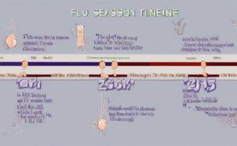 Flu Season Timeline