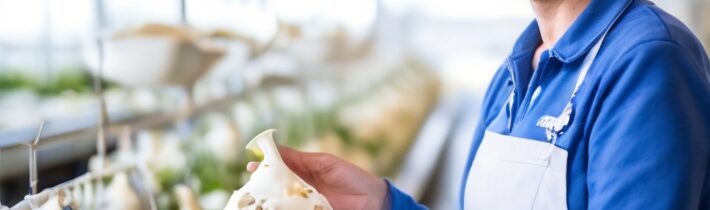 Inside Fairlife’s Dairy Innovation