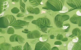 Matcha’s Secret to Longevity