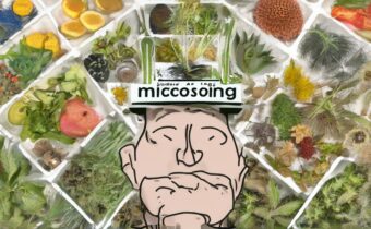 Michael Pollan’s Take on Microdosing