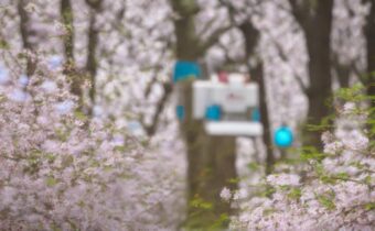 Preparing for Allergy Season