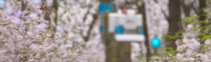 Preparing for Allergy Season