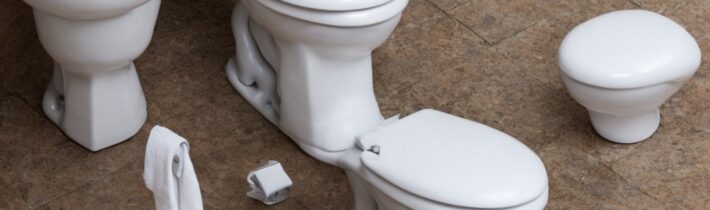 Proper Toilet Sitting Technique