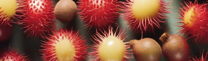 Rambutan: The New Skincare Superfruit