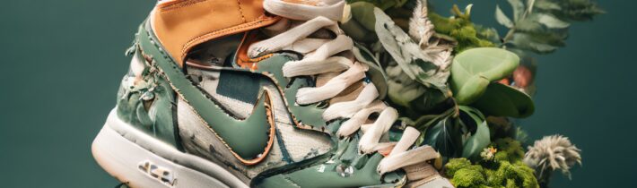 Sustainable Sneaker Movement