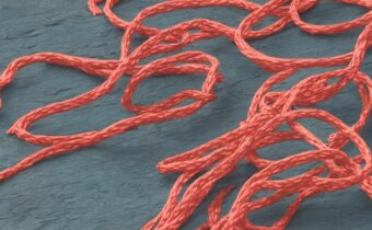 46. Bala Jump Rope: The Ultimate Review