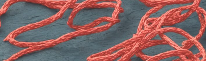 46. Bala Jump Rope: The Ultimate Review