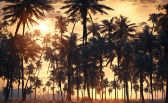 Adjusting to Daylight Saving Time