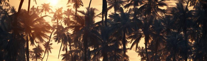 Adjusting to Daylight Saving Time