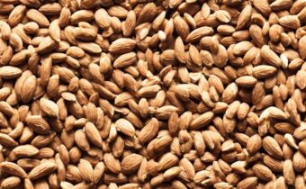 Almond, Cashew, Peanut Butter Nutrition