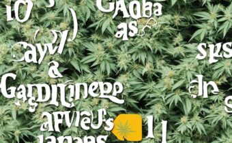Cannabis and COVID-19