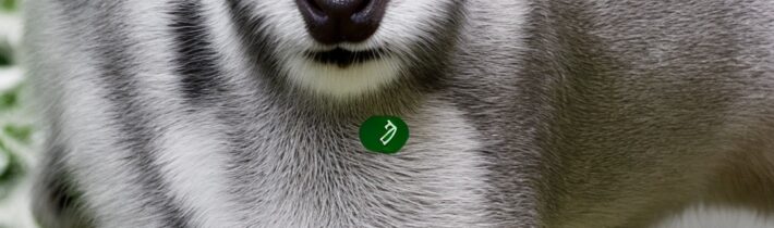 COVID-19 Antiviral Treatment