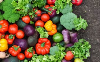 Easiest Vegetables for Beginner Gardeners