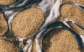 Farro: Queer Eye’s Favorite Grain
