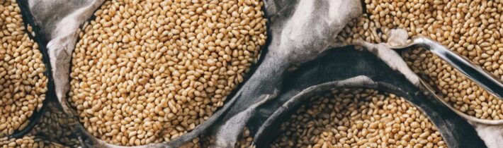 Farro: Queer Eye’s Favorite Grain