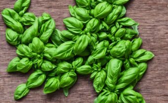 Here’s How To Dry Fresh Basil